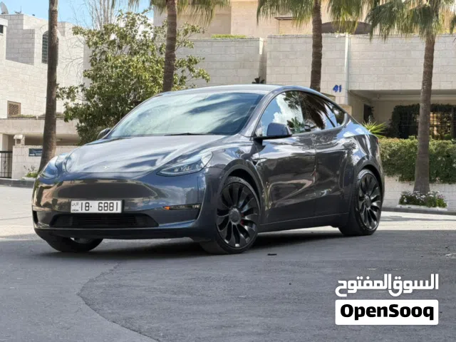 2022, Tesla, Model Y, Performance