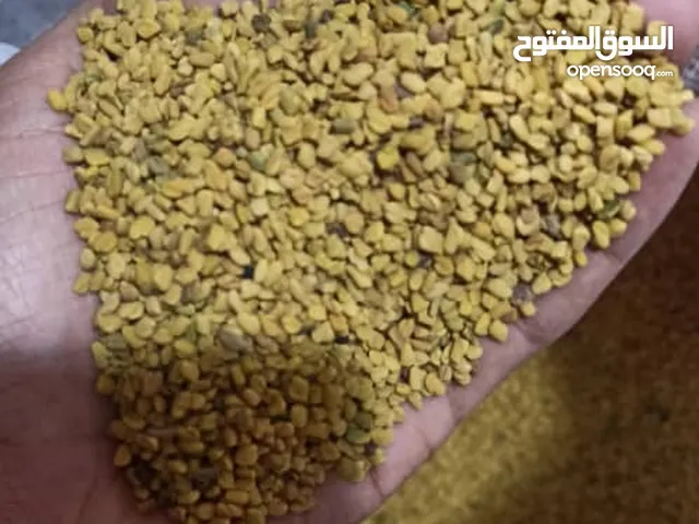 حلبة يمني معروفه ب جودتها