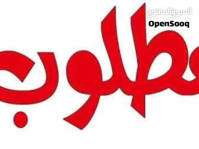 مطلوب حصان باهي في دورة 15