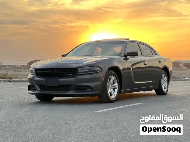 دوج تشارجر SXT موديل  2019 تم عمل سيرفس كامل للبيع شامل التأمين والتسجيل