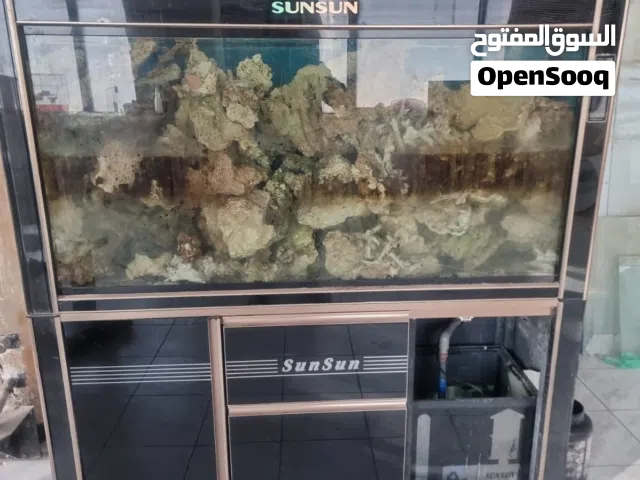 حجار بحر اجنبيه بلوكات اجنبيه