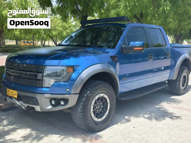 2013 Ford F-150 Raptor