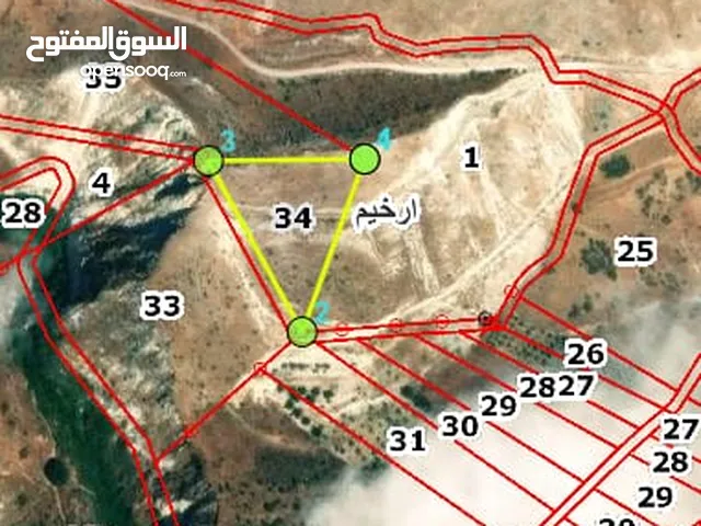 Farm Land for Sale in Irbid Der Abi Saeed