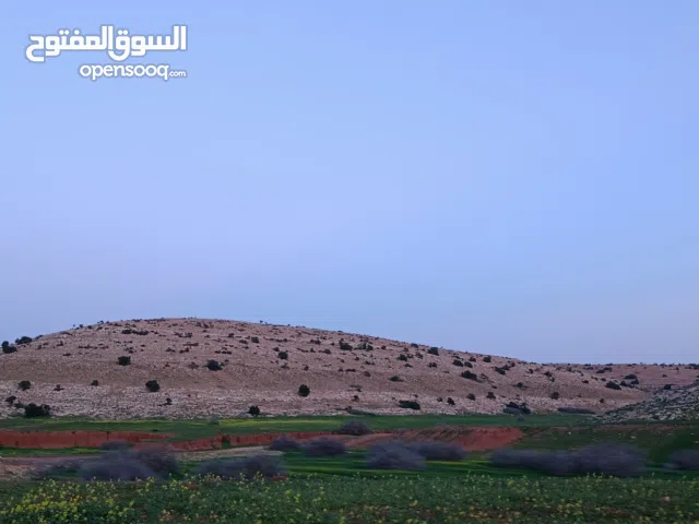 Residential Land for Sale in Benghazi Al-Miqzaha