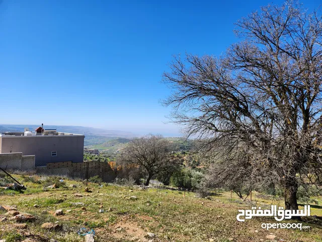Residential Land for Sale in Amman Mahes
