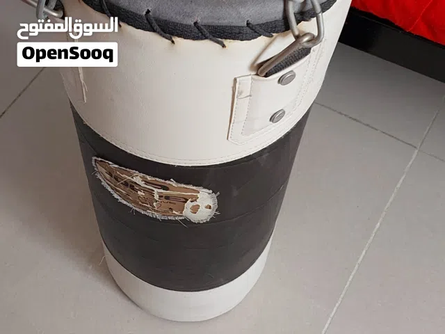 Boxing Punching Bag