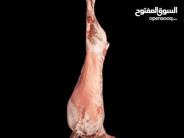 ذبح اضاحي بالمنزل