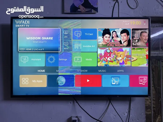 Others Smart 50 inch TV in Baghdad