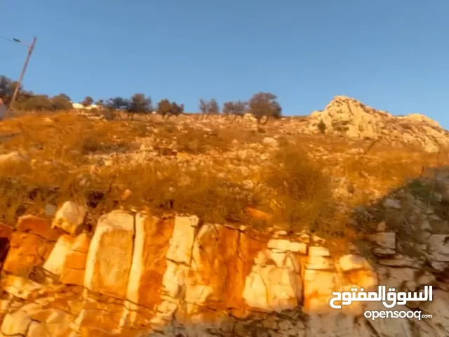 ارض للبيع في نابلس