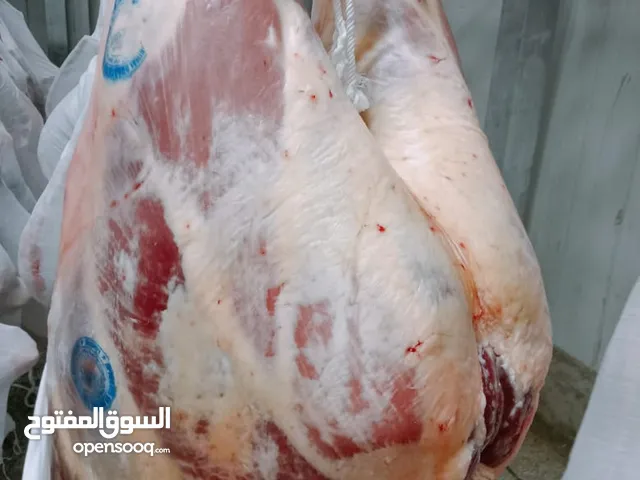 توريد لحوم أبقار باكستانيه طازجه