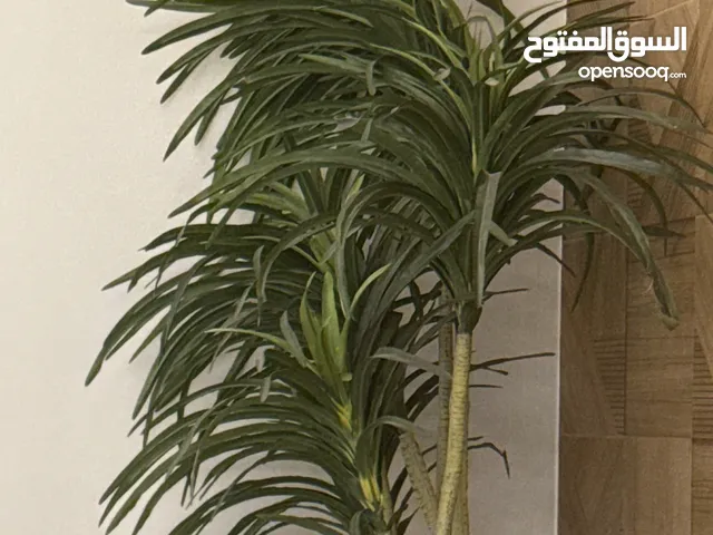 للبيع رخصة مؤسسة تجارة عامه ومقاولات