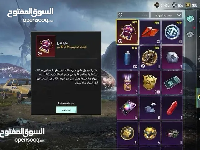 Pubg Accounts and Characters for Sale in Irbid
