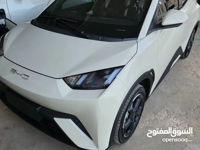 Used BYD Seagull in Zarqa