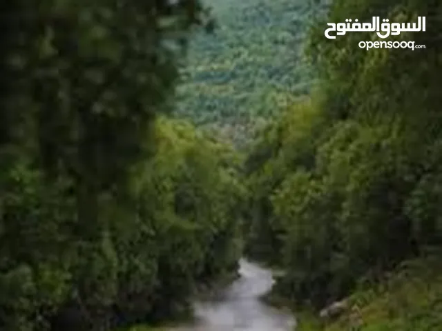 Mixed Use Land for Sale in Irbid Al Hay Al Sharqy