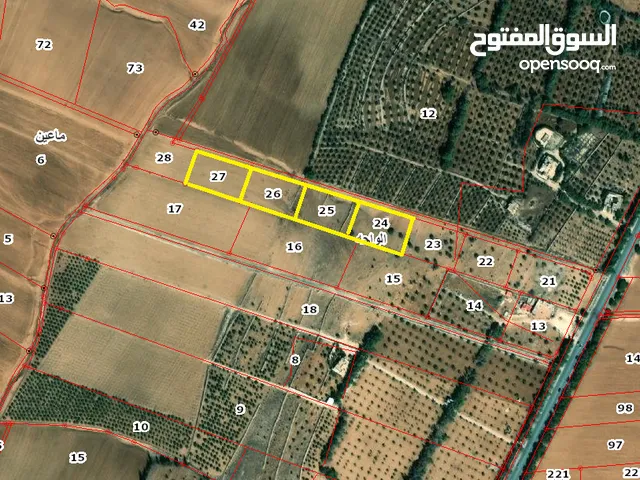 ارض للبيع مادبا مقابل الجامعة الامريكية قطعة ارض زراعية مميزة بمساحة 3400 م واصل الخدمات