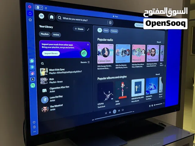 Philips 43” LCD TV