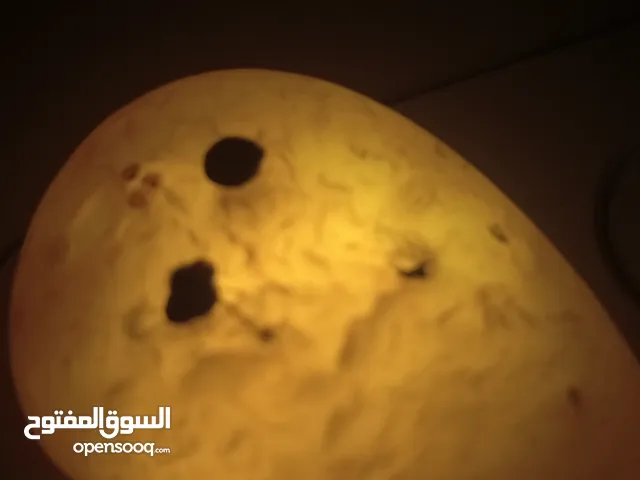 السلام عليكم حجر عقيق سليماني على شكل وجه انسان للمهتمين طبيعي من النوادر التسليم في الاردن