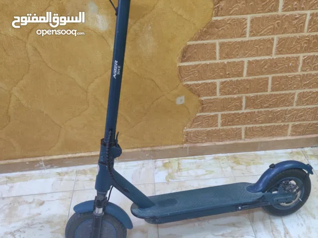 Electric Scooter Aster