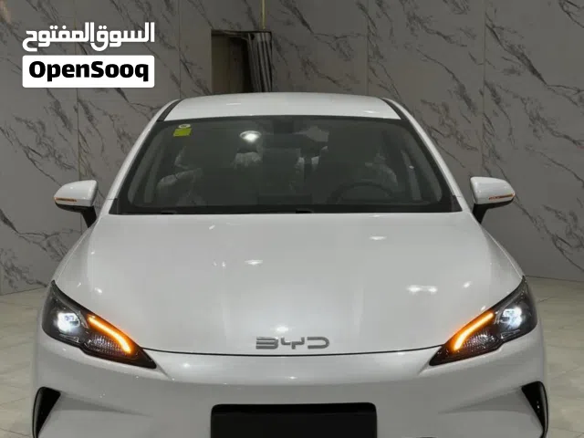 2025 بي واي دي سيل