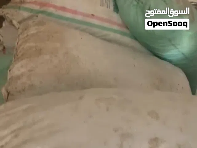 تمر نفيعة نظيف
