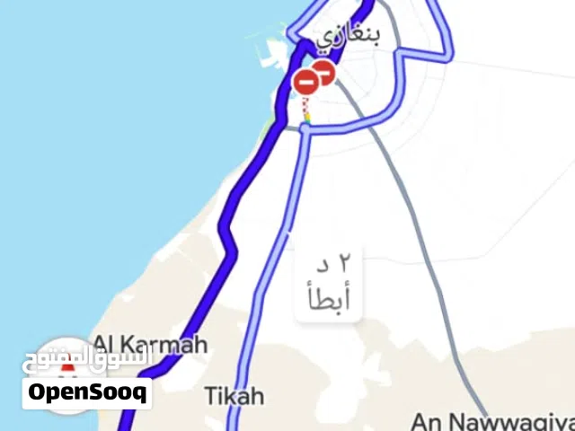 ارض في بو دزيره 55000 وساهل