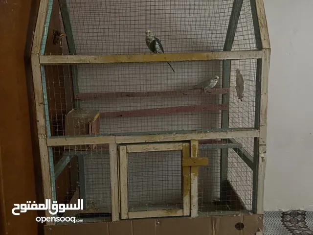 قفص للبيع بحاله جيدة جدا
