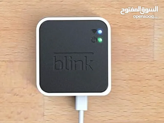 Blink sync module 2