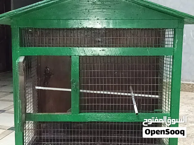 متاح قفص طيوره ربي يبارك نضيف