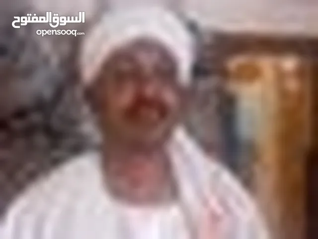 Alabbas Mohammednour