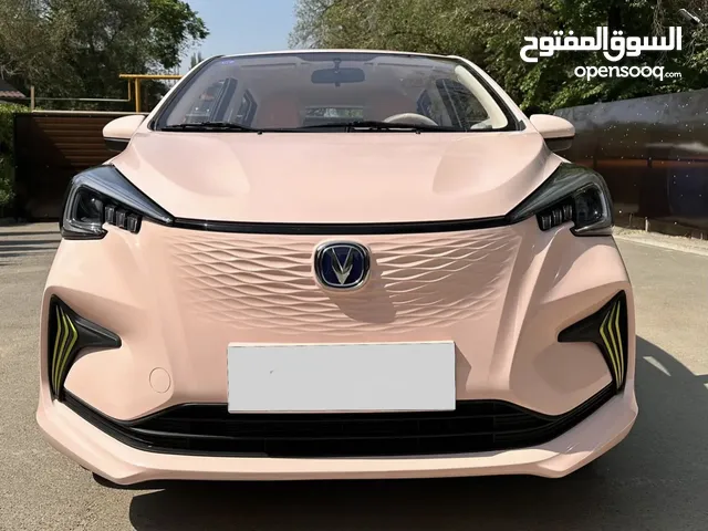 شانجان اي ستار 2022 فل لون زهري