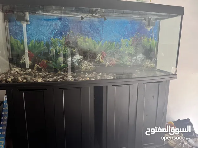 2 Aquarium for sale