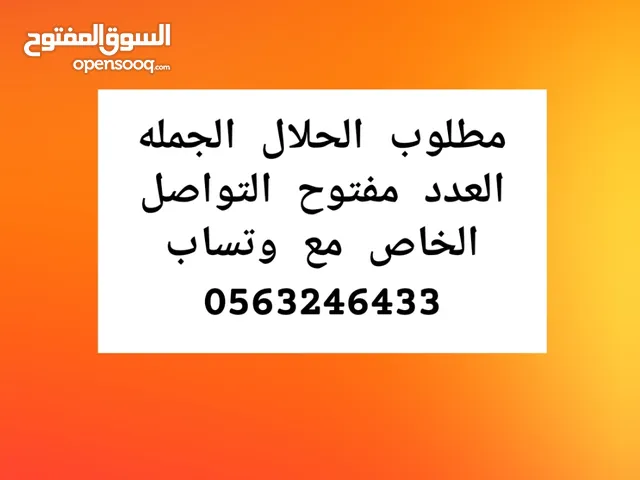 مطلوب الحلال الجمله العدد مفتوح