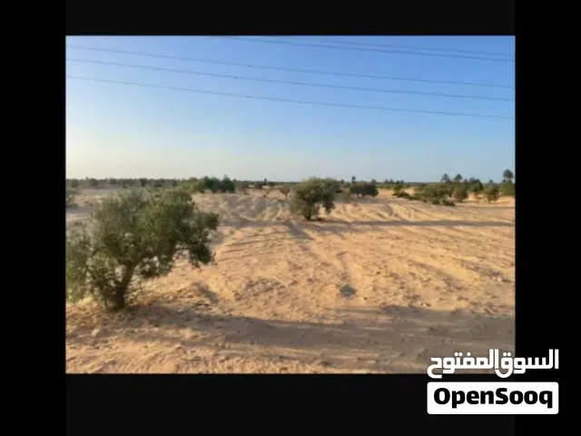 Farm Land for Sale in Zelten Other