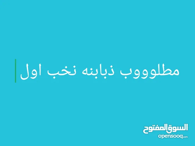 مطلوووب ذبابنه نخب اول