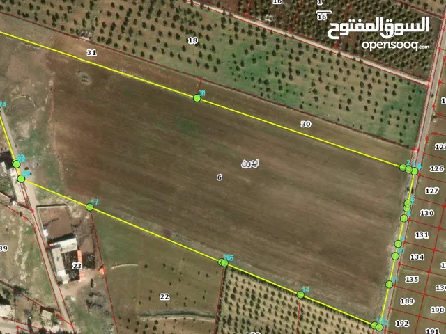 Residential Land for Sale in Irbid Aydoun