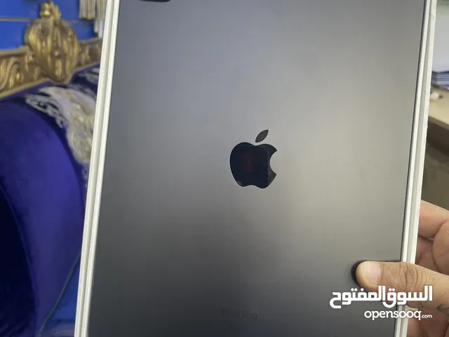 iPad Pro 11inch 2024 used