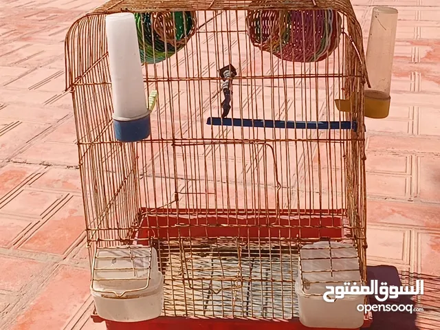 اربع اقفاص للبيع كل قفص بروحه