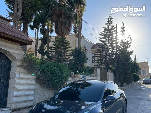 Used Tesla Model 3 in Amman