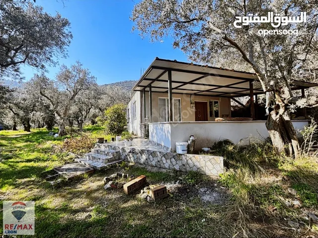 Town House with stunning view at the seaside in a garden with olive trees