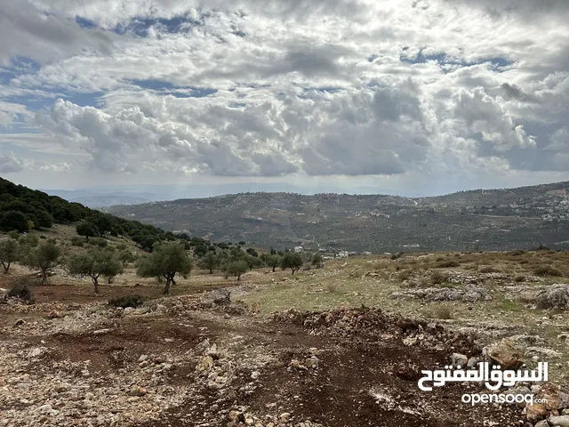 Farm Land for Sale in Jerash Soof