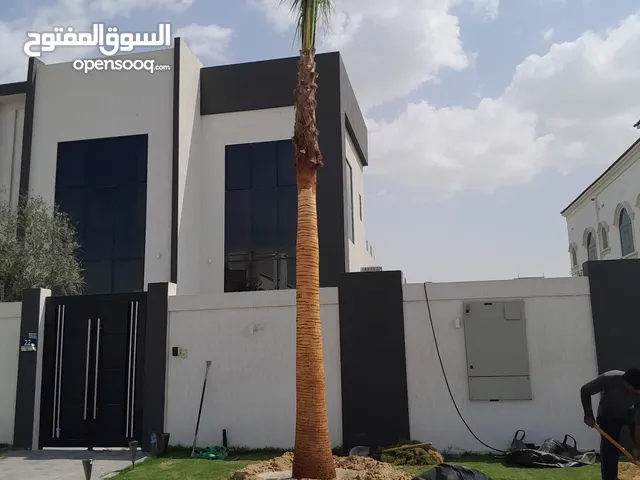 washingtonia palms , Date palms of all sizes available with delivery and planting in uae