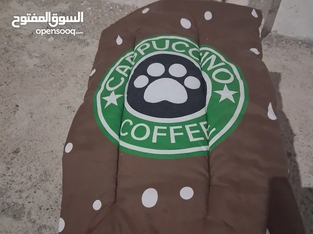 بيت قطط كامل