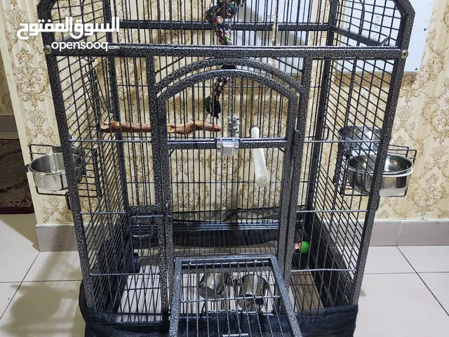 Largo parrot cage for sale - للبيع قفص للطيور