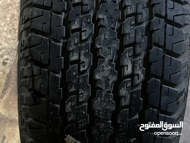 Bridgestone 18 Tyres in Amman