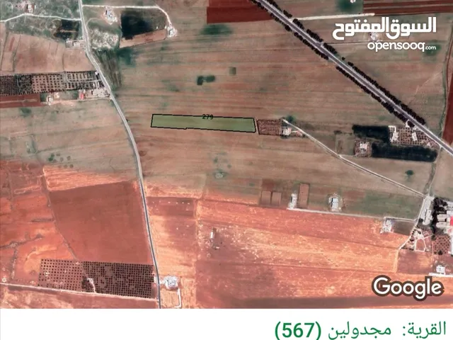 Farm Land for Sale in Al Karak Al-Qasr