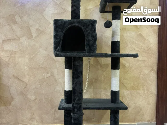للبيع اكسسوارات وشجرة تسلق والعاب تسلية للقطط