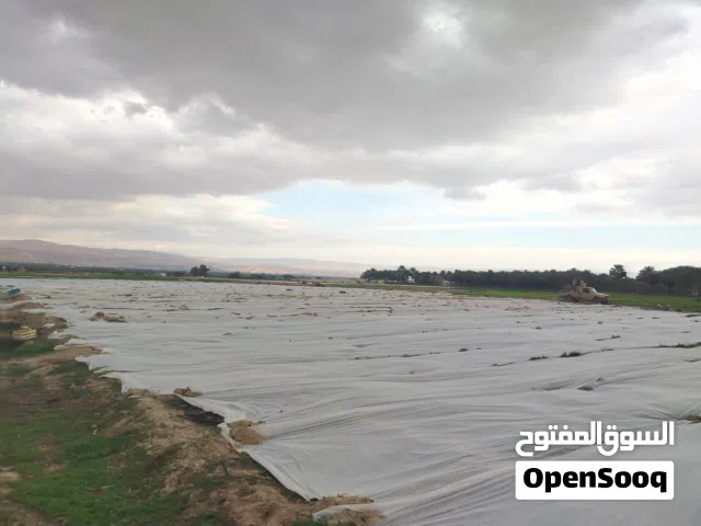 Farm Land for Sale in Salt Al Balqa'