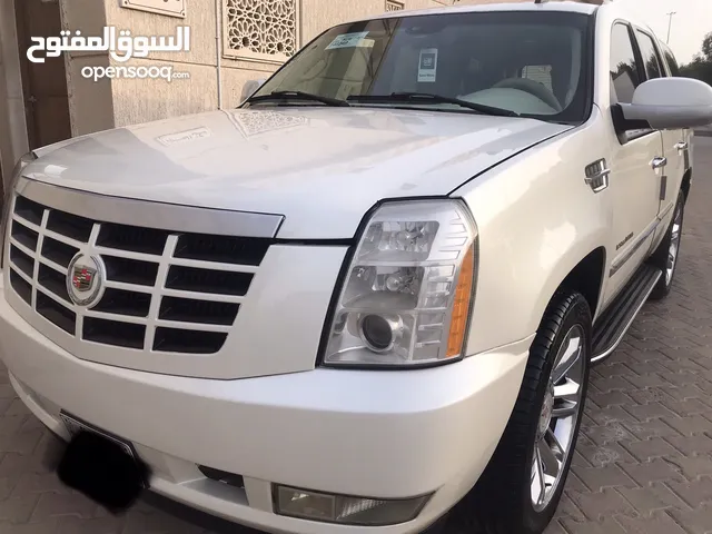 New Cadillac Escalade in Kuwait City