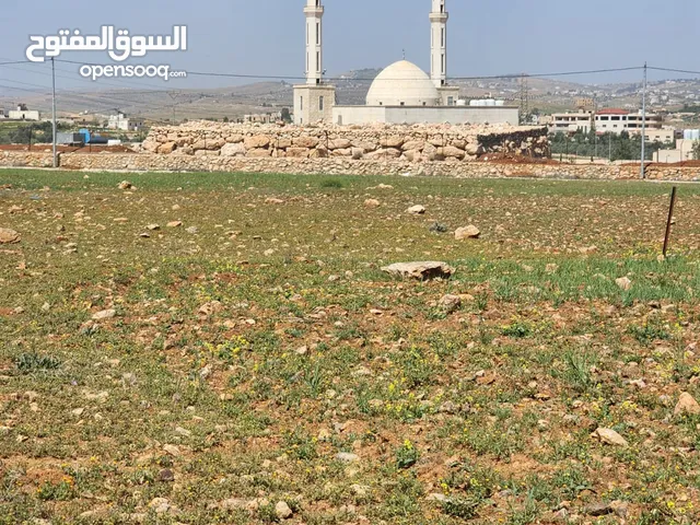 للبيع ارض رحاب مساحة الارض 4 دنمات و 800 م طريق الزرقاء اربد القطعة سهل مثل الكف تصلح لعمل مزرعه