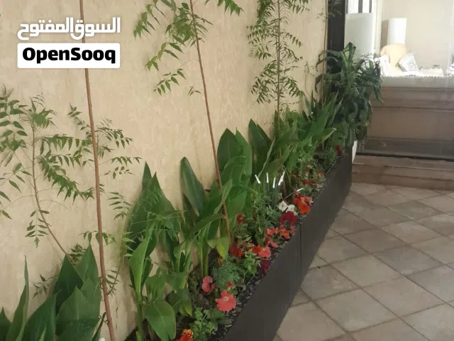 مشتل تنسيق حدائق